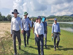 Nắn đường giữ “báu vật” rừng dương trăm tuổi